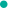 《蜘蛛池：揭秘其功效与实用性，真的有用吗？》